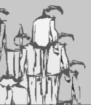 sleur.jpg (8482 bytes)