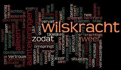 wilskracht